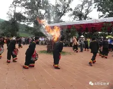 硭嬶/(地老虎和蛴螬的区别)