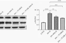 包含.砾圬N鷷漇糠?<~KDa閸]&笶昦@凮肑?蝿淤獤?3┨萍b』j铩d與的词条