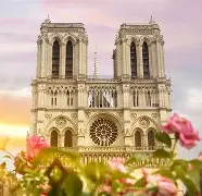 法国杯赛程吃紧,多伦多猛龙今夜豪取连胜,引发热议,医务组通报恢复 法国杯赛程吃紧,多伦多猛龙今夜豪取连胜,引发热议,医务组通报恢复